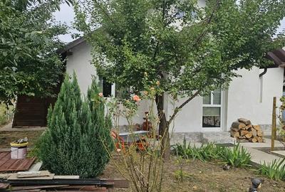 Casa de vanzare in Aroneanu - 2