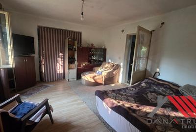 Casa si gradina cu livada 1683 mp - 48.500 euro - Topolovatu Mare - 17