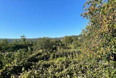 Casa individuala + anexa si gospodarie , 247 mp , 3 nivele, Casa individuala + anexa si gospodarie , 247 mp , 3 nivele, - 15