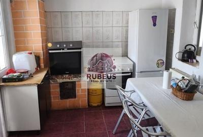 Refugiul la marginea pădurii in Orșova, pe malul Dunării - 11