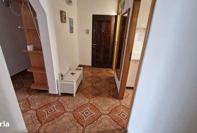 Apartament cu 3 camere, mobilat în Noua - 6