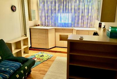 Apartament impecabil 3 cam (fost 4 cam), cu vedere la Parcul si Delta Vacaresti! - 11