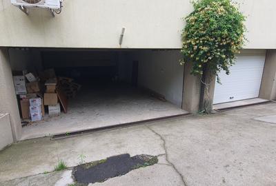 Ferdinand, str Fluierului, inchiriere spatiu birouri - 12