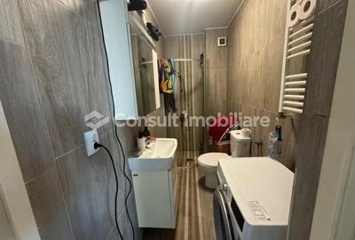 Apartament 1 camera | Intre Lacuri Apartament 1 camera | Intre Lacuri - 7