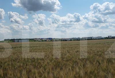 Teren Intravilan 2.829 mp, Zona in Dezvoltare, Reprezentan - 3