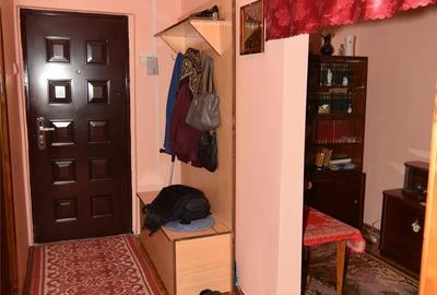 Apartament cu 3 camere decomandat în Buziaș - 7