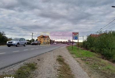 Teren de 2062 mp, în Manasia - 4