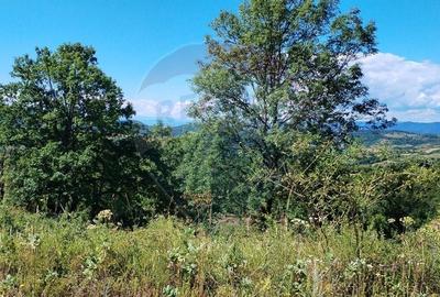 Teren 3,871mp Varmaga / None - 2