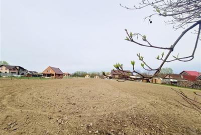 1.700mp intravilan,acces usor,intre case,ideal 2 locuinte/investitie,Lunca Calni - 9