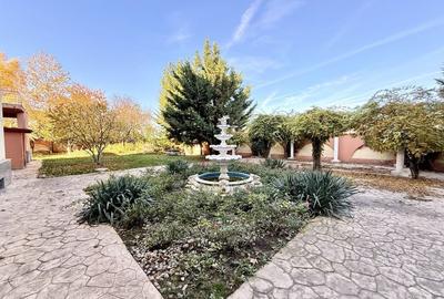 Duplex 14 camere Pantelimon Cernica 864 mp desfasurati - 7