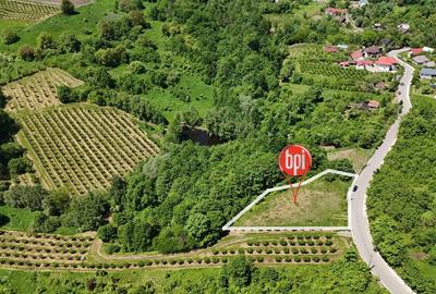 Teren Construcții intravilan de 1313 mp, în Rădășeni - 4