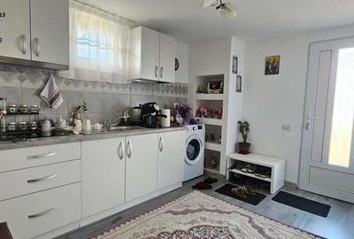 Proprietate multifunctionala, com.D-va Rosie,casa+spatiu comercial+teren - 2