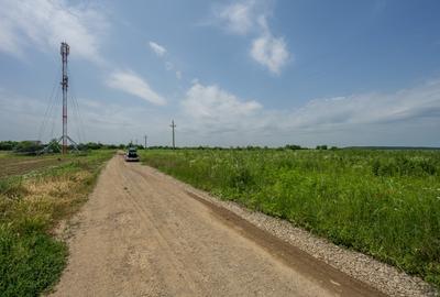BALOTESTI - SAFTICA, TEREN INTRAVILAN 500 MP, DESCHIDERE 21 M ! - 11