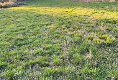 Spațiu comercial, în Dealu Mare - 7