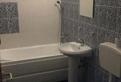 Inchiriere apartament 1 camera Dacia - 3