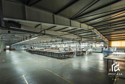 Spațiu industrial, de 1,450 mp, în Călanu Mic - 2