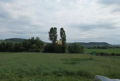 Teren 3953 mp Falticeni Tarna Mare De 0727817187 - 28