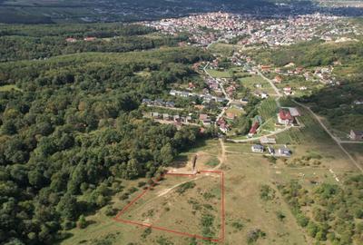 Teren intravilan zona Episcopiei, panorama superba,  ideal investitie! - 3