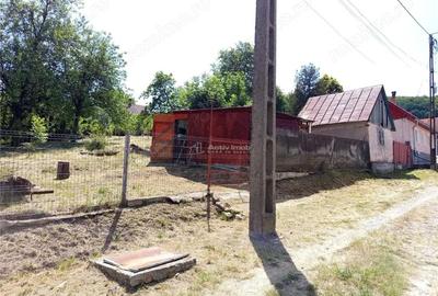 Casă cu Teren 1439 Mp în Anina - 20