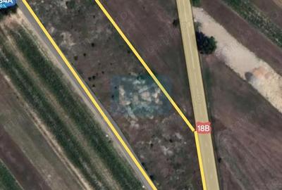 Teren de 8848 mp, în Dumbrăvița - 1