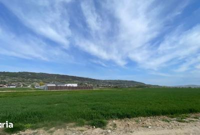Teren de 1789 mp, în Podgoria - 1