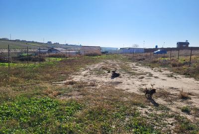 Teren vanzare sat Costi, comuna Vanatori, judet Galati - 5