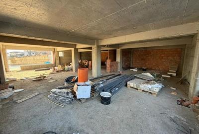 Spatiu Comercial De Vanzare sau De Inchiriat . Pacurari - Rediu Lac . Direct Dezvoltator - 2