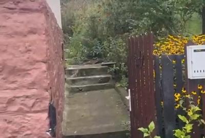 Proprietar vand casa P+M,curte ,anexe ?i gradina - 1