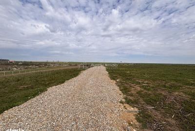 Spațiu comercial, în Păușa - 3