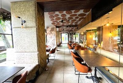 Inchiriem Spatiu Comercial ZONA ESPLANADA - 12