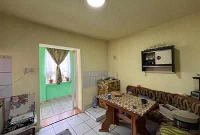 Casă individuală cu 4 camere cu Teren 2935 Mp în Belinț - 15