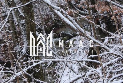 Teren Construcții intravilan de 20000 mp, în Dângești - 22