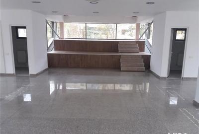 Spațiu comercial, de 200 mp, în Narcisa - 8