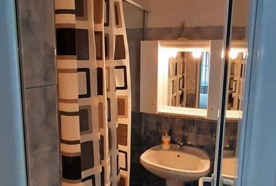 Casă în Râmeț - 9