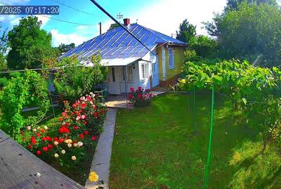 Casă cu 3 camere în Central - 1