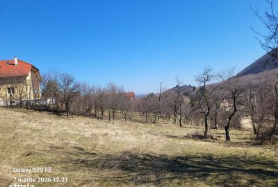 Teren de 3849 mp, în Central - 3