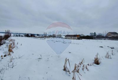 Teren intravilan 9.574 mp în Săliște, poziție strategică, ideal invest - 6