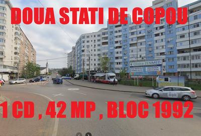 Garsonieră decomandată, mobilată în Alexandru cel Bun