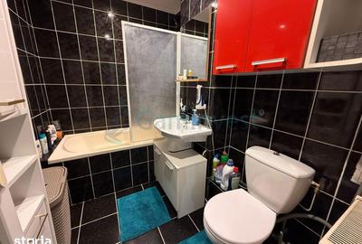 Apartament cu 3 camere decomandat, mobilat în Nufărul - 3