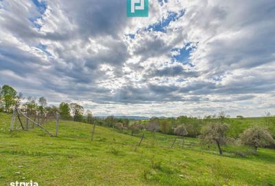 Casă cu 2 camere cu Teren 17681 Mp în Almaș - 6