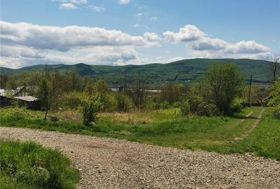 Casă cu Teren 1000 Mp în Pârscov