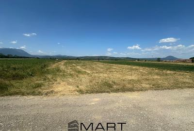 Teren 5000 mp Glajerie, zona Rasnov - 3