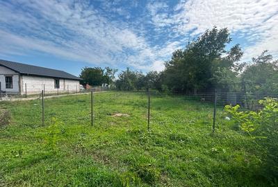 Teren de Vânzare în orașul Amara - 2