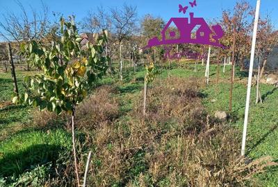 Casa la curte comuna in localitatea Nojorid - 7