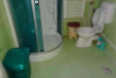 Vand casa in Deva, zona Aurel Vlaicu D+P+E, constructie din anul 2010 din BCA - 1