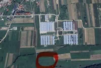 Spațiu comercial, în Gilău - 2