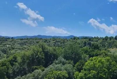 Teren de 17000 mp, în Nucșoara - 3