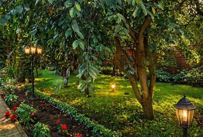 Teren Construcții intravilan de 1409 mp, în Exterior Est - 1