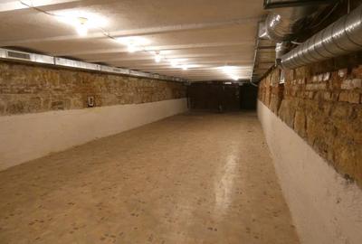 Spatiu comercial la subsol, zona Centrala Spatiu comercial la subsol, zona Centrala - 3