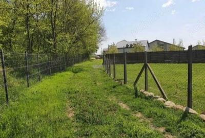 Teren de 6000 mp, în Nord - 3